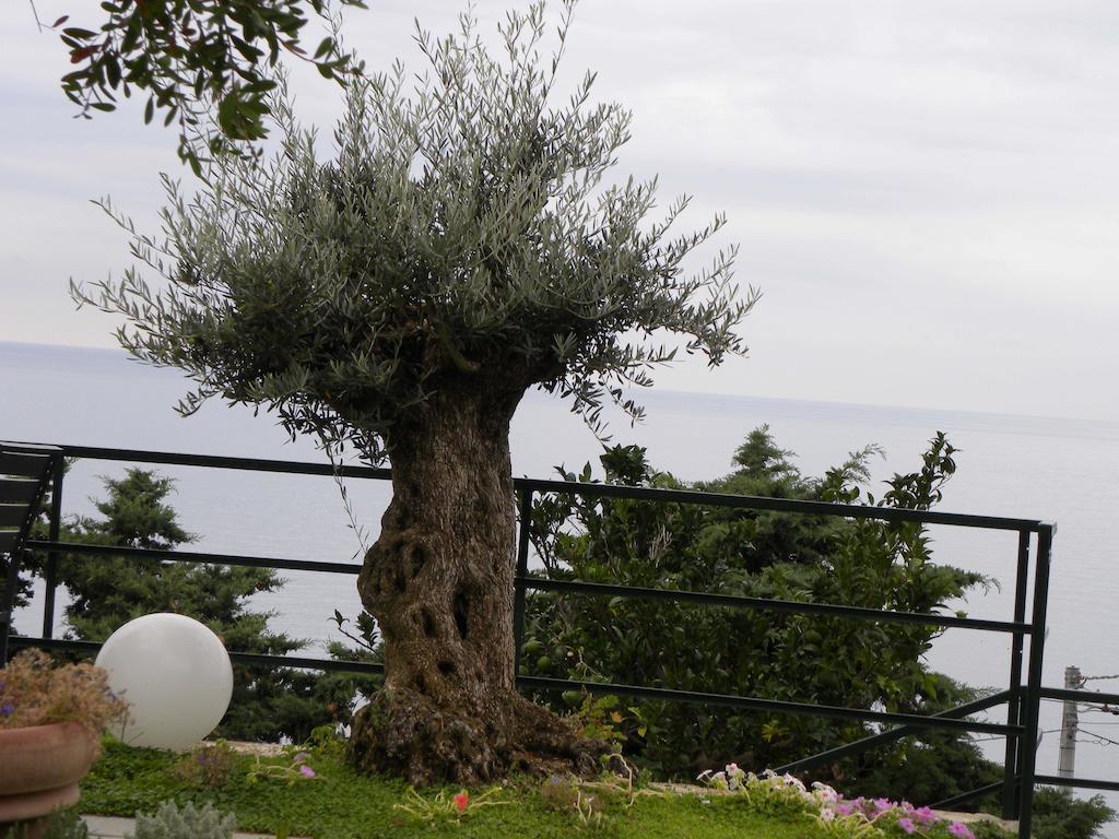 Corte Del Gallo Corniglia Ngoại thất bức ảnh