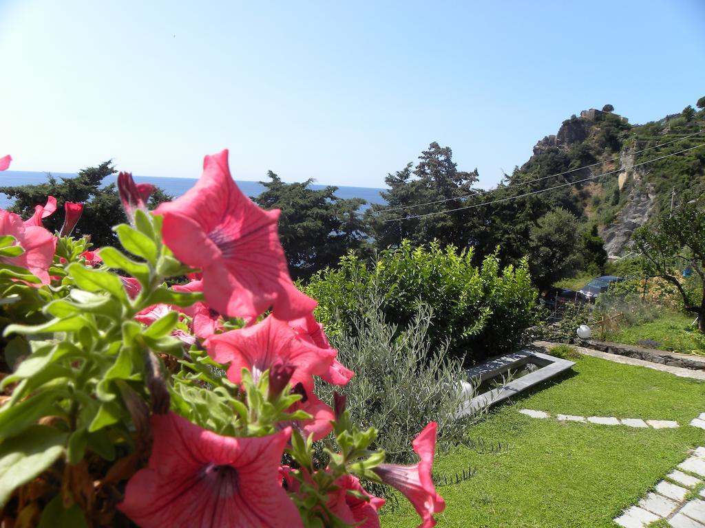 Corte Del Gallo Corniglia Ngoại thất bức ảnh